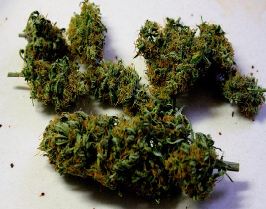 Собрать шишки конопли марихуана каменка