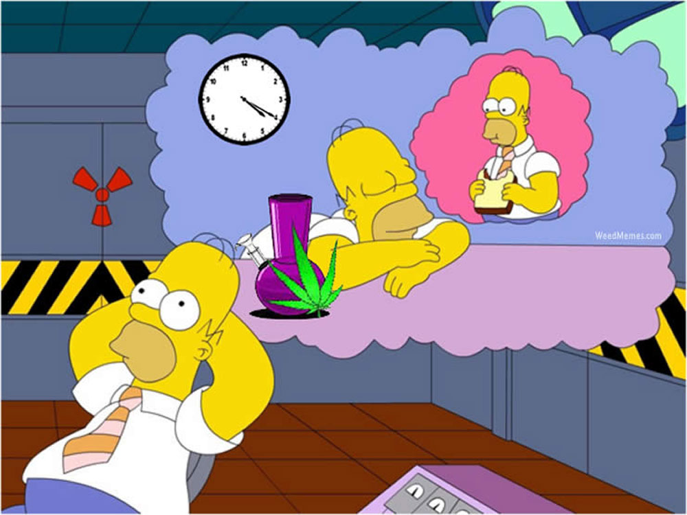 Гомер курит марихуаны инструкция по выращивание марихуаны
