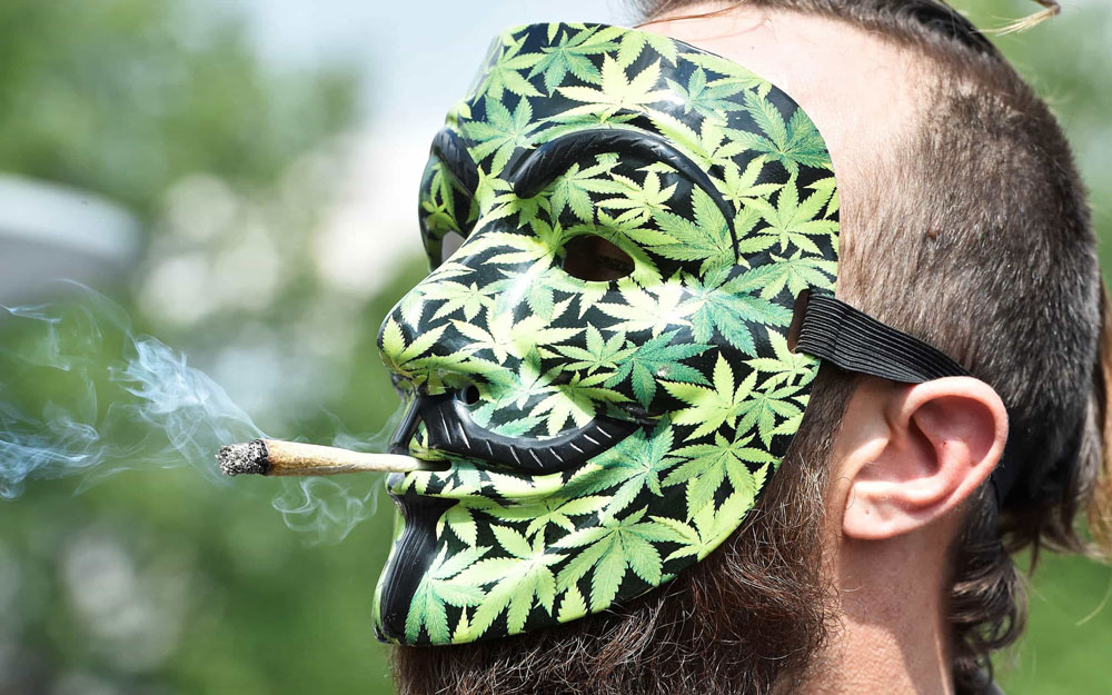 franzyja-kannabis-kosjak.jpg