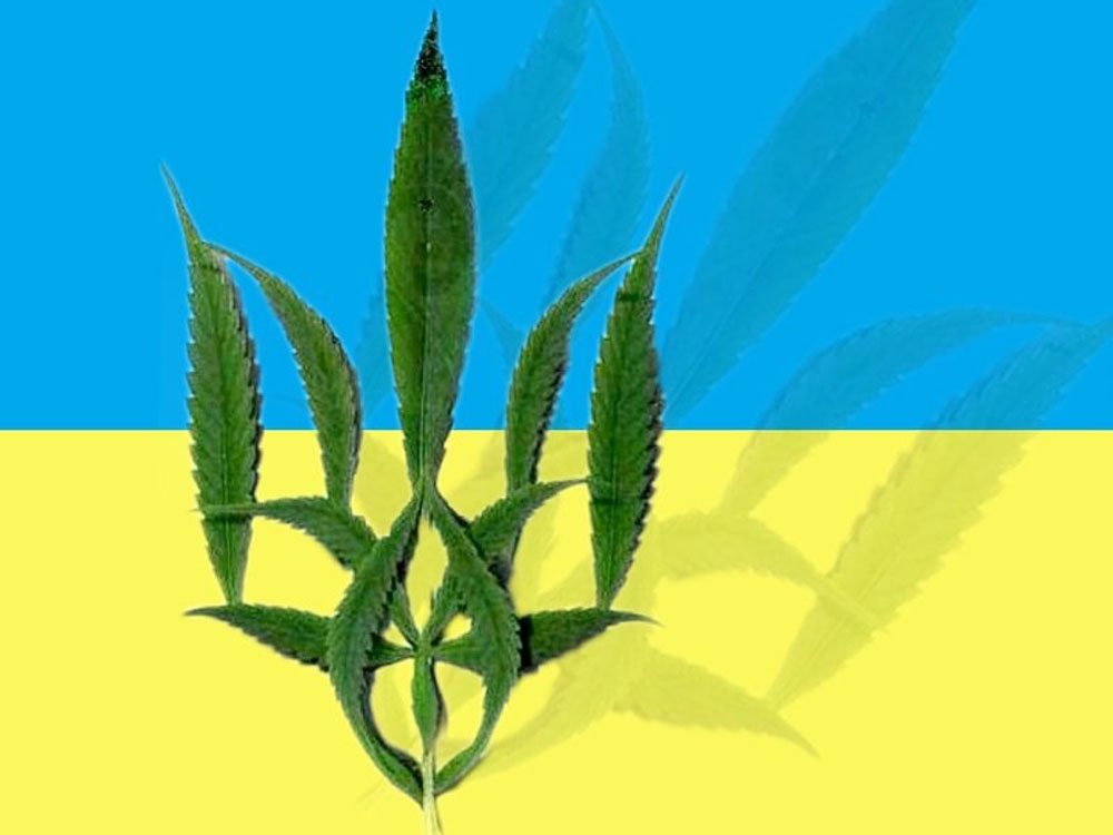 Употребление марихуаны в украине что изготавливают из конопли