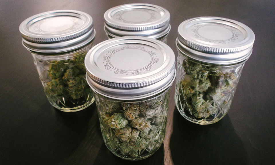 Как хранить шишки марихуаны как вырастить маленький куст конопли