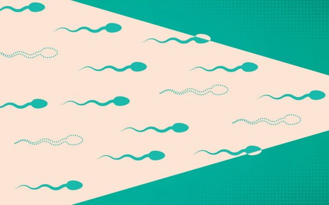 cannabis-and-sperm