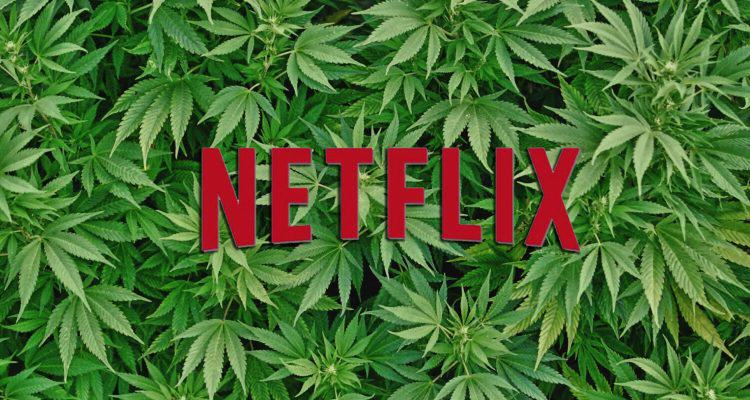 документальные фильмы по выращиванию марихуаны