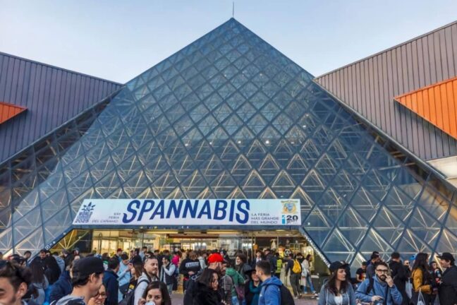 Спаннабіс 2025